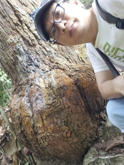 走入雨林探索香材，研制出纯粹好香