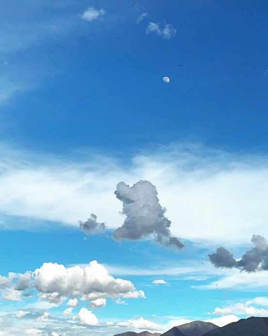 赵薇频更新动态 疑为复出试水温