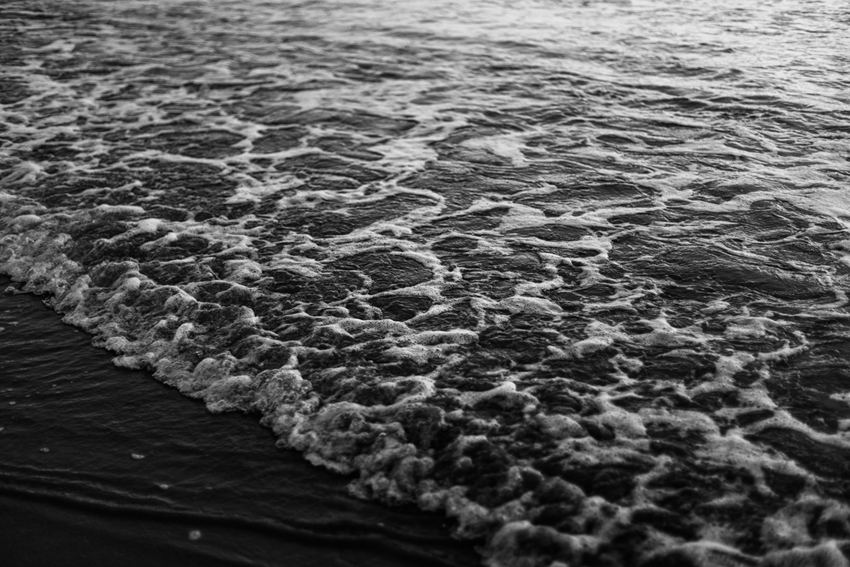 陈子韩/前浪死在沙滩上