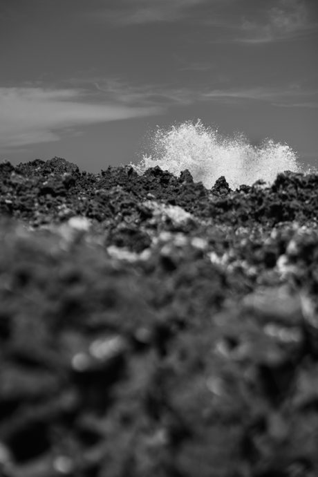 陈子韩/前浪死在沙滩上
