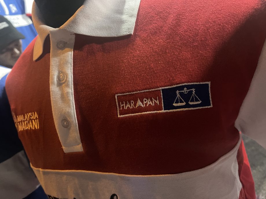 雪州民调∕单挑议席:团结政府候选人占上风