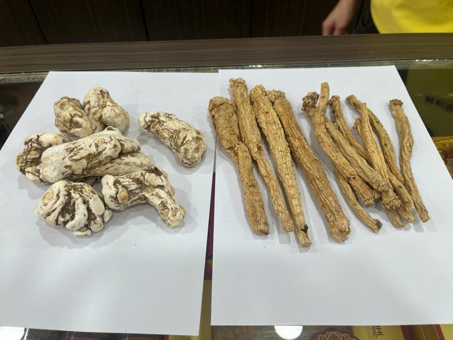 霹：封面头条／马币贬值冲击中药市场 中药材价格纷纷涨价