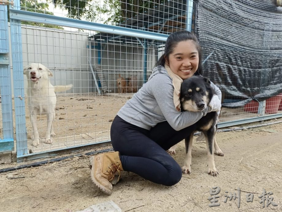 霹:第二版头/中途之家耗5万拆迁 289浪浪赶搬新家