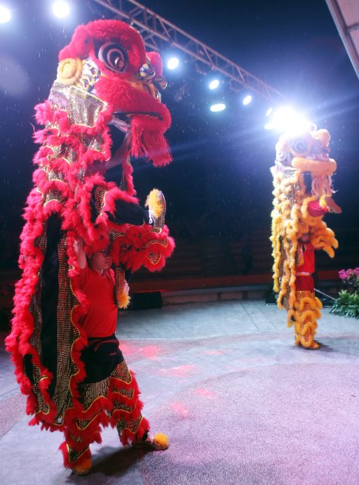 鲁迈兹:IMT-GT考察两天会议 探讨绿化城市与科技议题