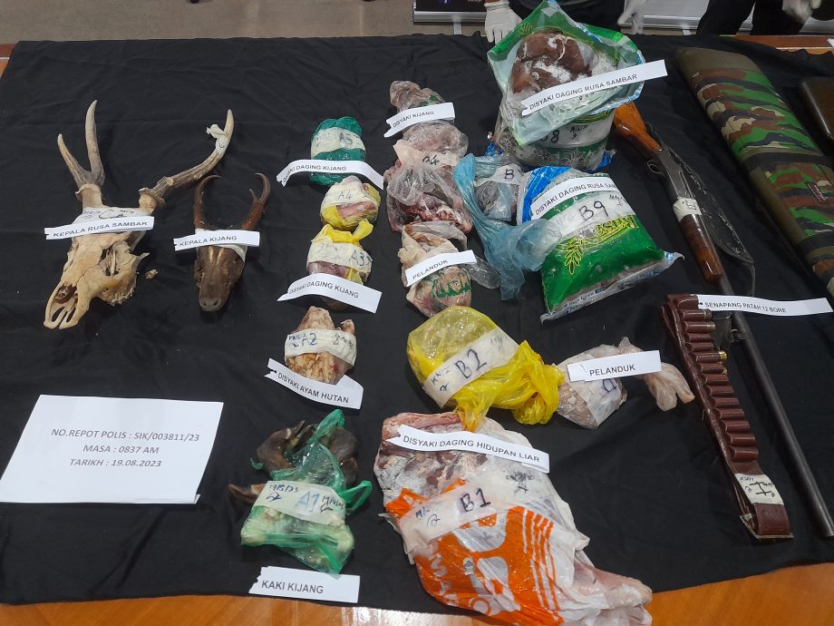 （全国版）森林保护区变“屠场”！Whatsapp销售濒危动物肉类 不法集团6人被捕