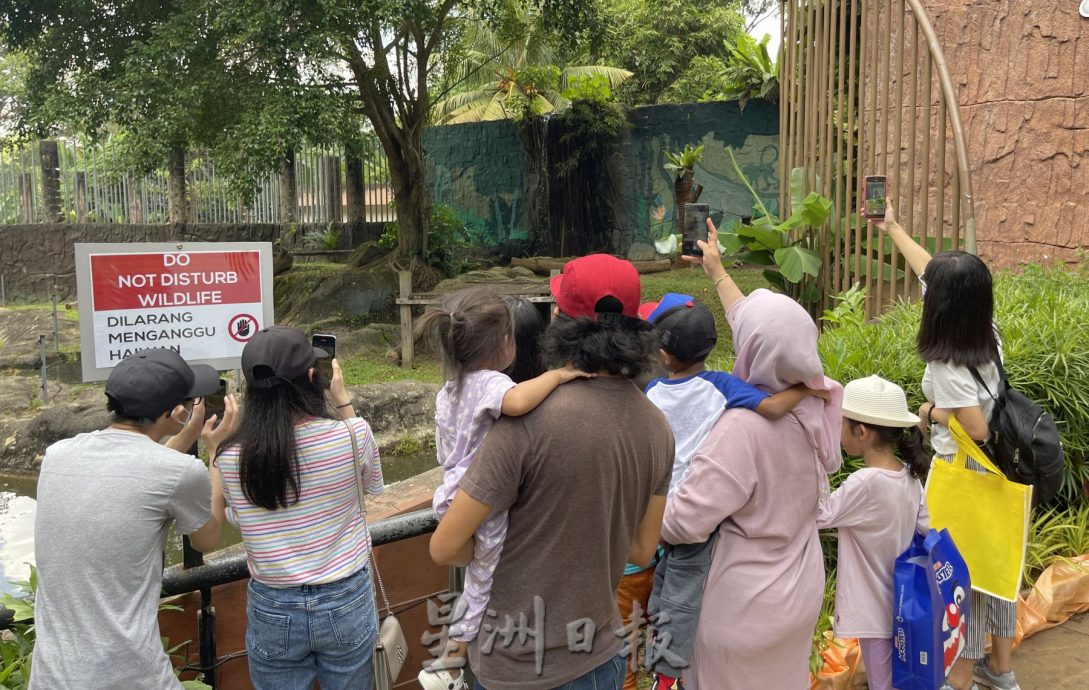 （古城封底主文）【带你去找爱】：对老虎及野生动物的爱