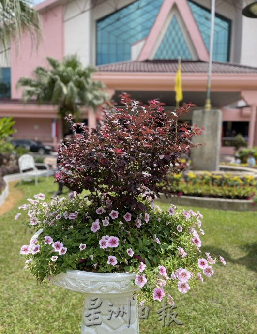 （古城封底主文）【带你去找爱】：州政府大厦的绿植爱