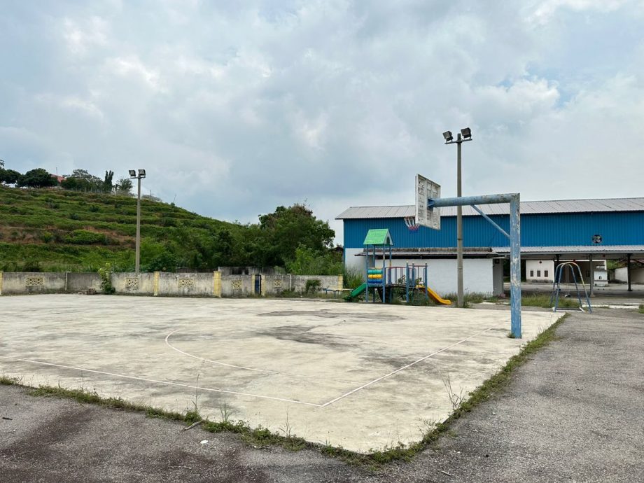 (古城封底主文)乡镇情深每逢周一见报:亚沙汉金山村