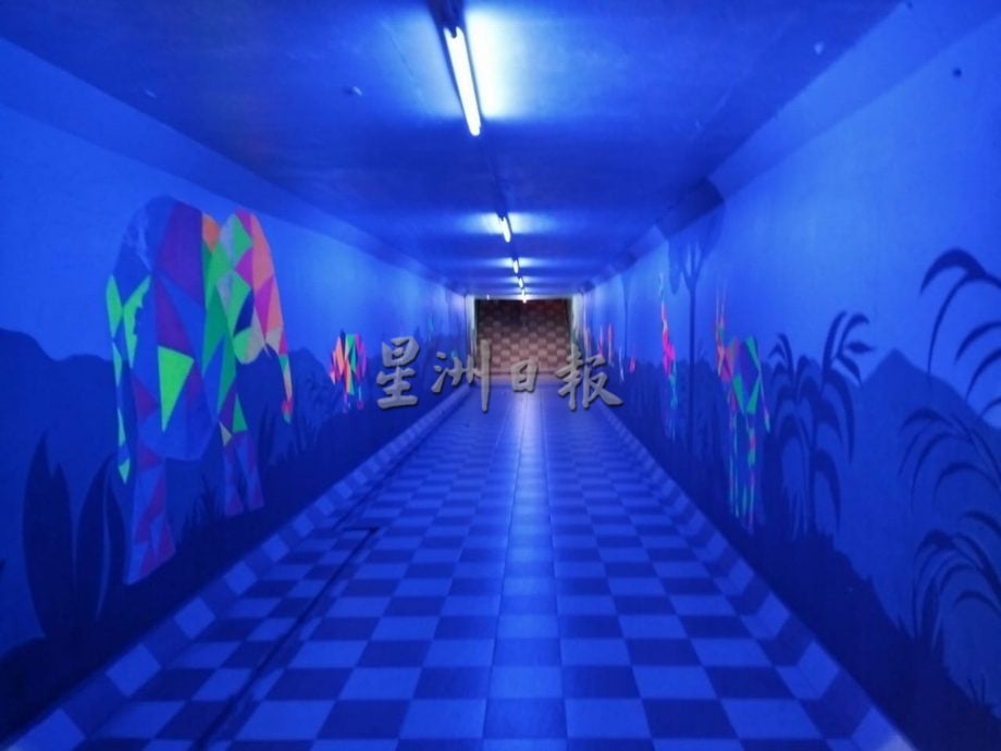 (古城封面主文)2020年推介 动物园地下隧道少缺宣传无人知