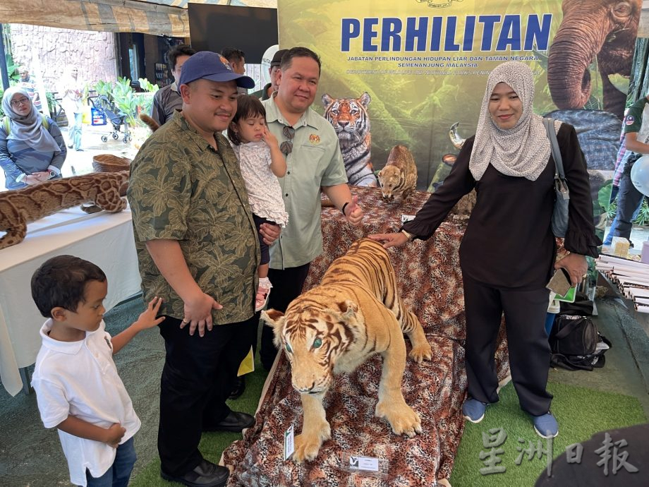 (古城封面主文)莱斯雅欣:甲计划打造野生动物园