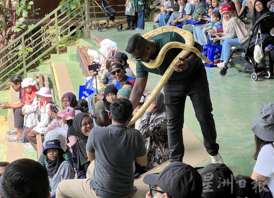 (古城封面主文)莱斯雅欣:甲计划打造野生动物园