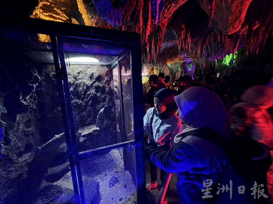 (古城封面主文)莱斯雅欣:甲计划打造野生动物园