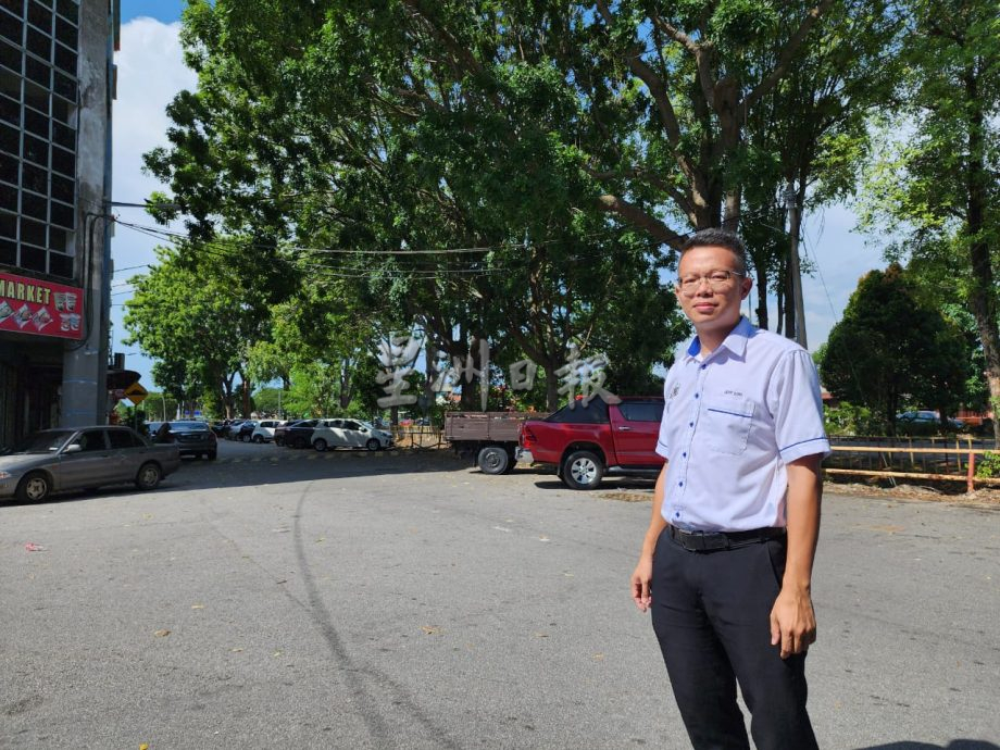 (古城封面副文)多树木未修砍且屡发生树倒,罗舜生指市议会砍树拨款不足盼州政府及国会议员协助