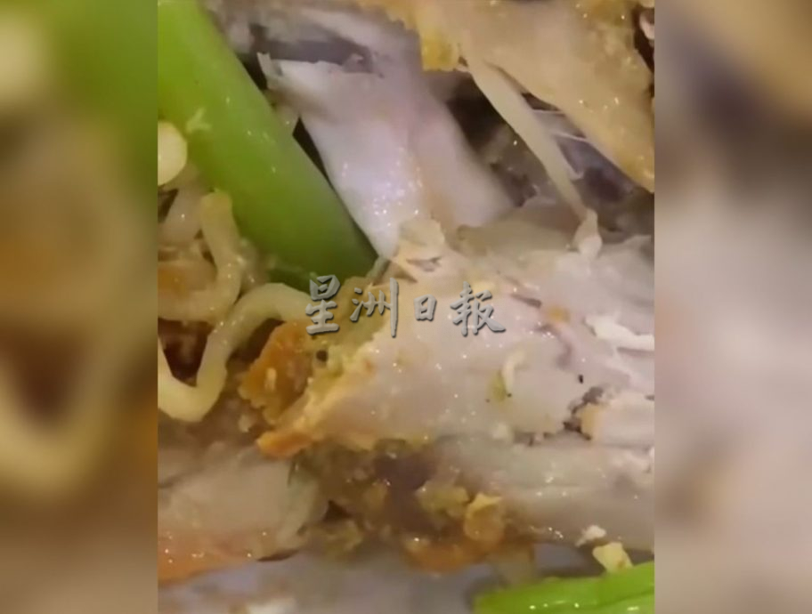 （古城版）炸鸡块内有虫子