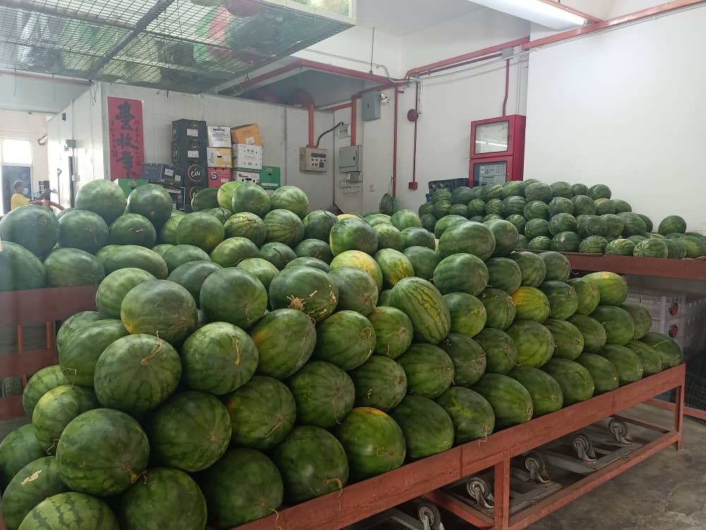 (古城第五版主文)本地水果价格在下半年皆会些许波动