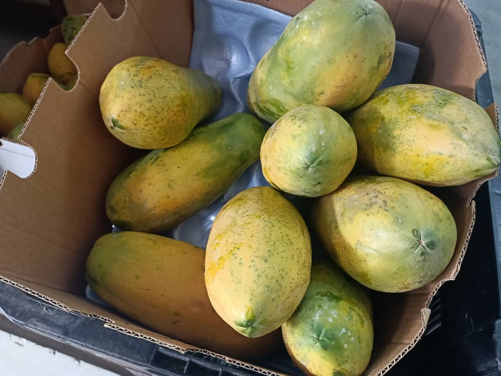 (古城第五版主文)本地水果价格在下半年皆会些许波动