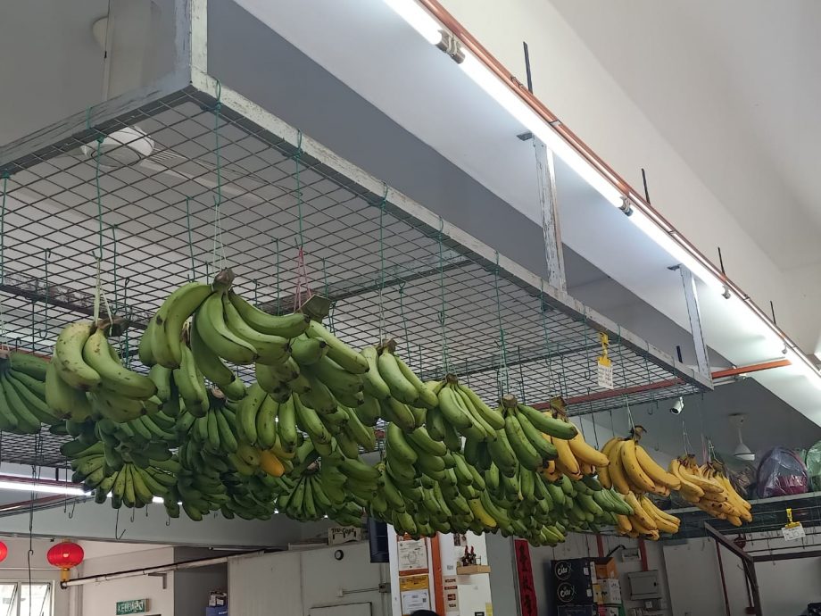 (古城第五版主文)本地水果价格在下半年皆会些许波动