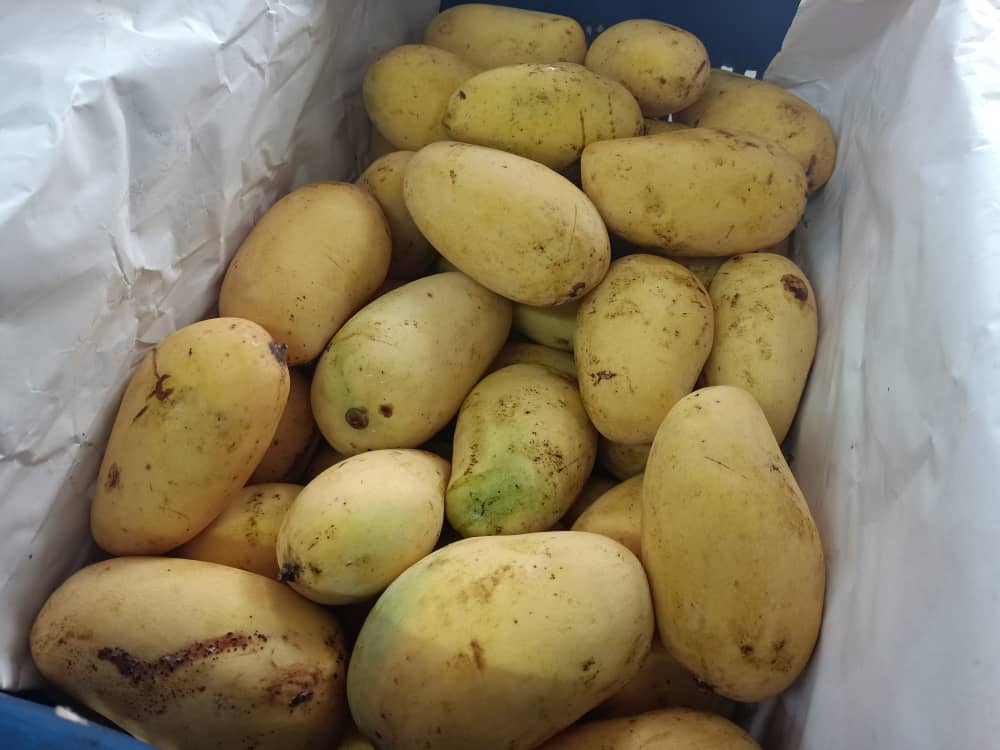 (古城第五版主文)本地水果价格在下半年皆会些许波动