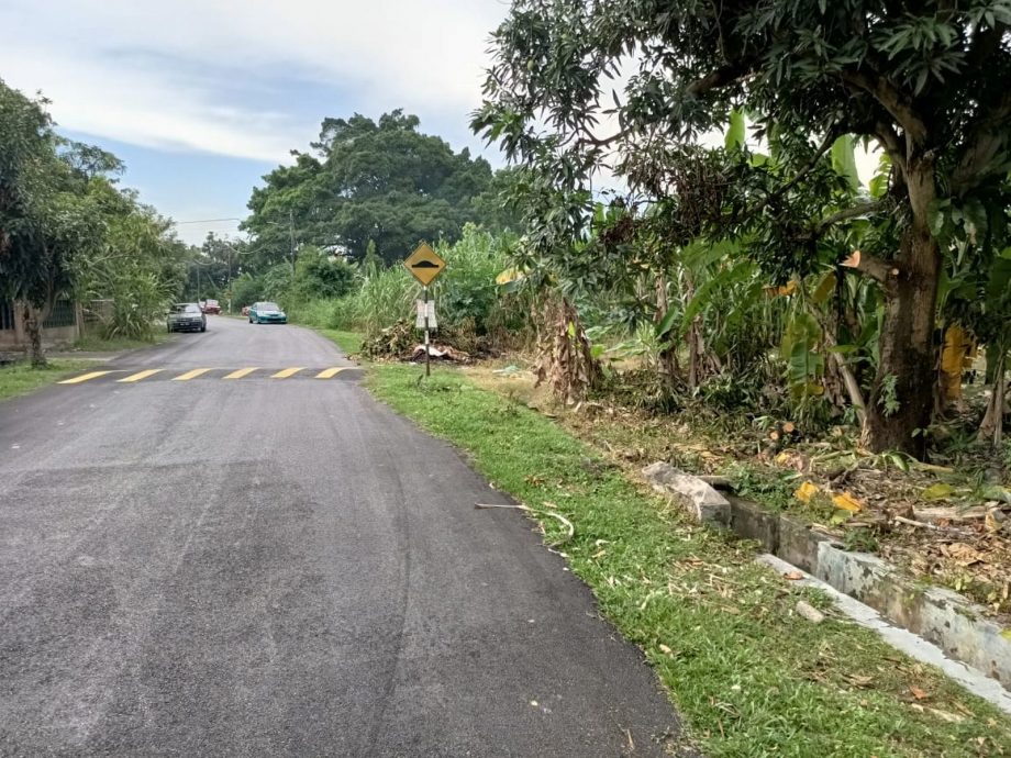 （古城p2）加沙默迪卡35路获批准提升沟渠