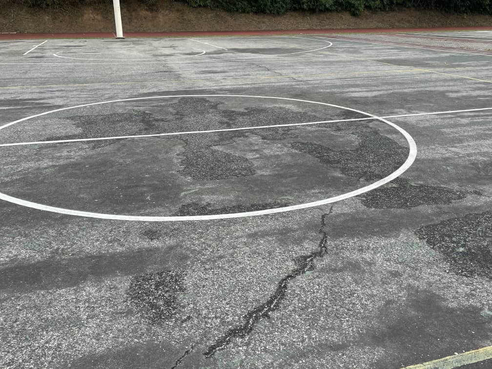 (大都会)本报-11月24日爱华教义演 为巴生中华小学筹200万 增建有盖篮球场及提升旧教学楼设施经费/5图