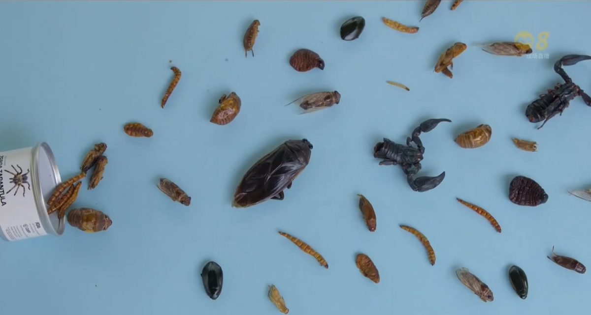 (已签发)柔:狮城二三事:狮城食品局将批准昆虫可食用 餐饮业者部署将昆虫入菜