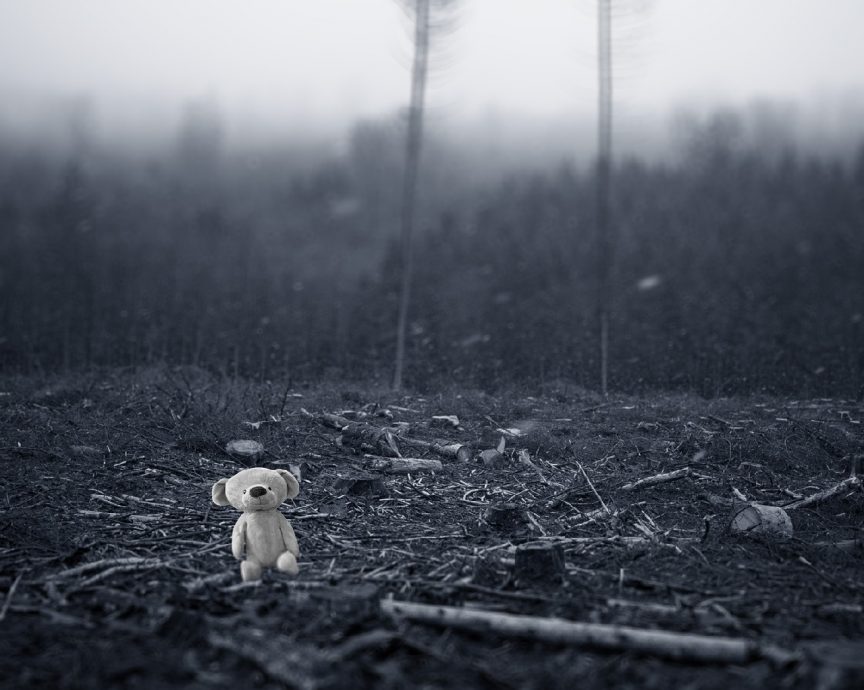 IMF:气候变迁可能增加冲突与死亡