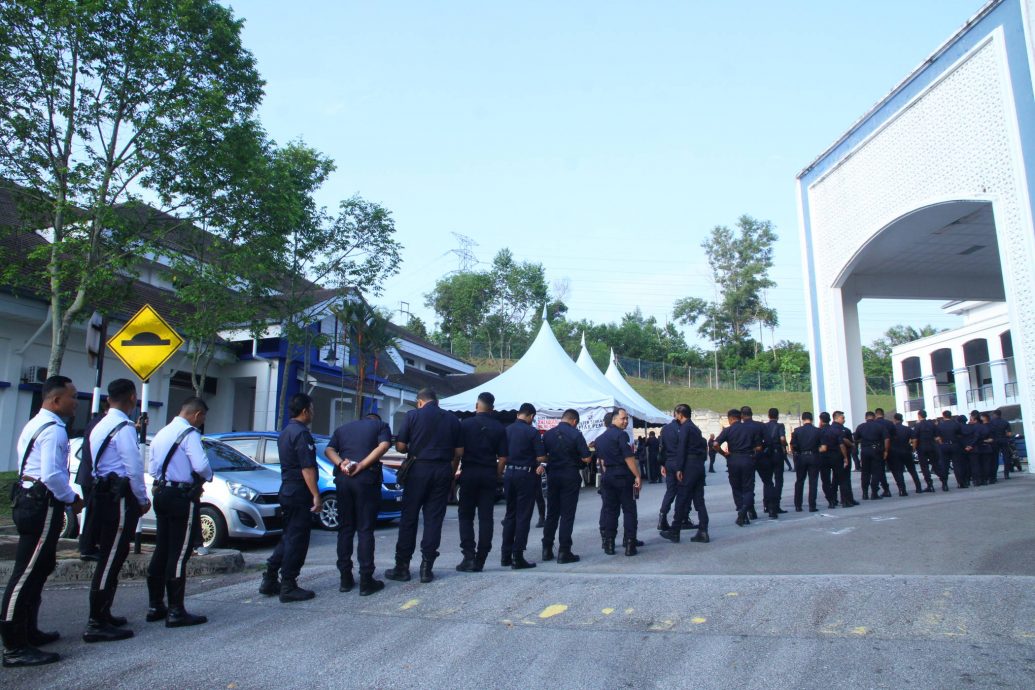 me02副文(大都会)新古毛提前投票情况/4图