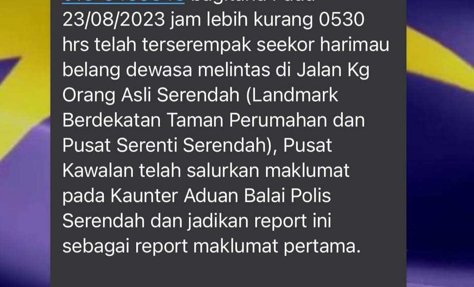 me3版头//大都会:双文丹惊传出现虎踪/7图