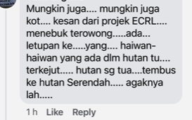 me3版头//大都会:双文丹惊传出现虎踪/7图