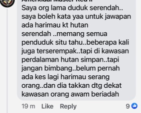 me3版头//大都会:双文丹惊传出现虎踪/7图