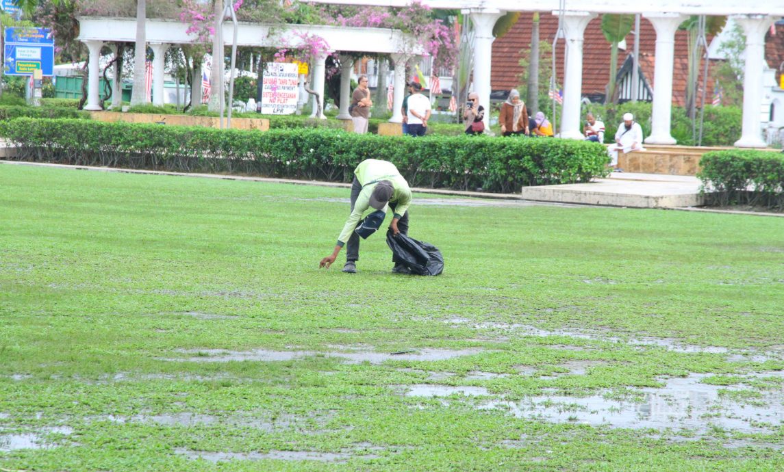 mz2头//大都会/走访吉隆坡独立广场/10图