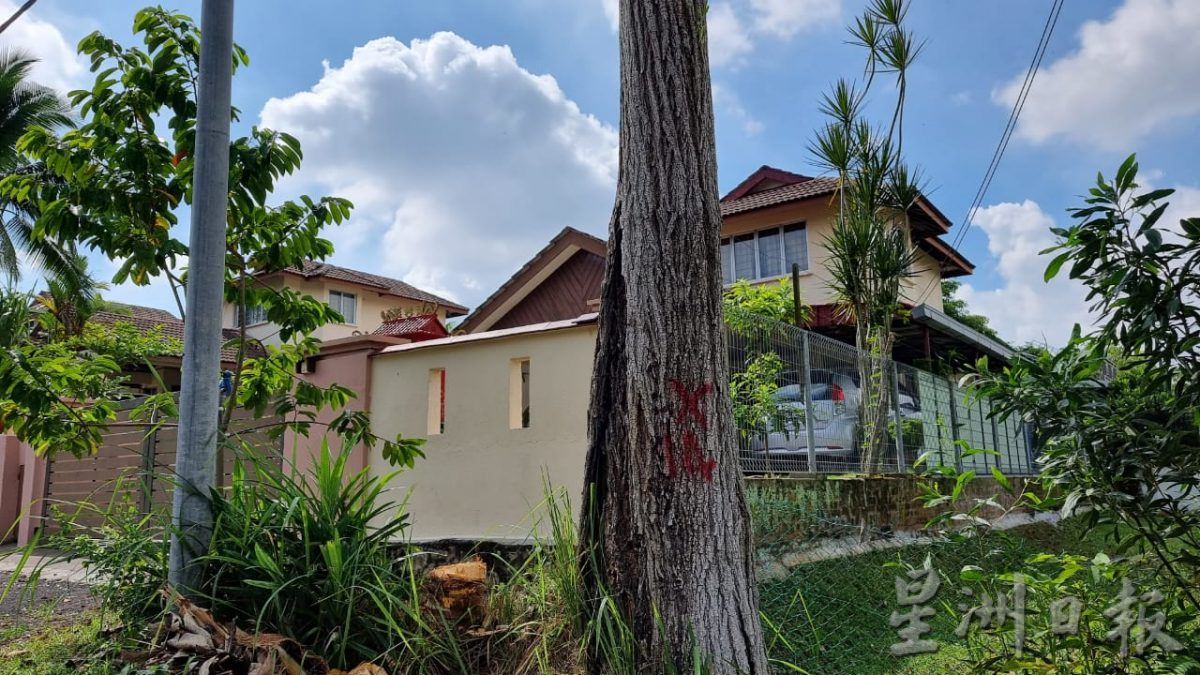 花费18万,亚沙金马扬8至9月修砍树木工程