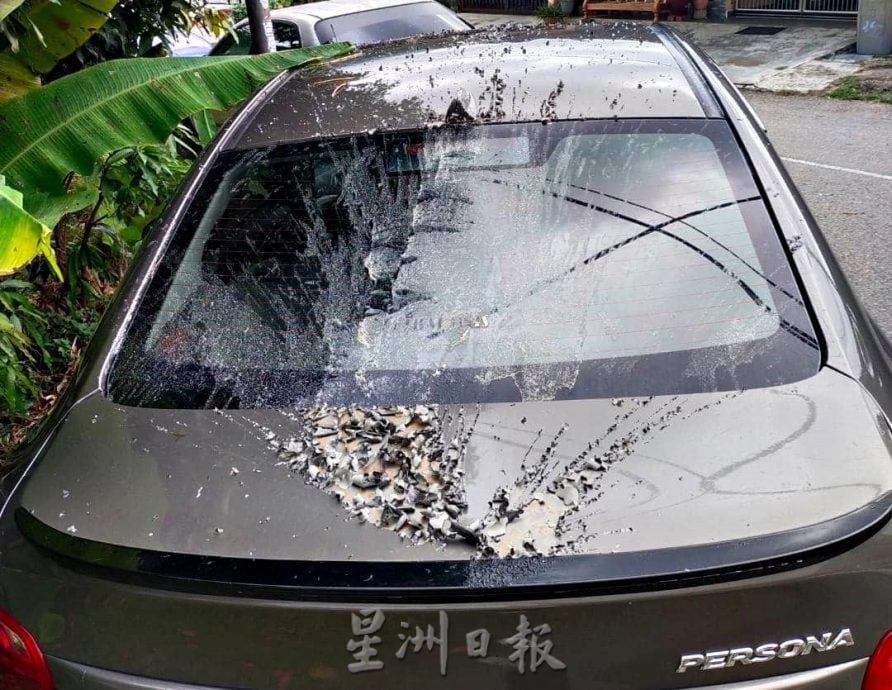 NS淡边/杨丽怡代理人轿车遭泼漆及酸性熔化剂！