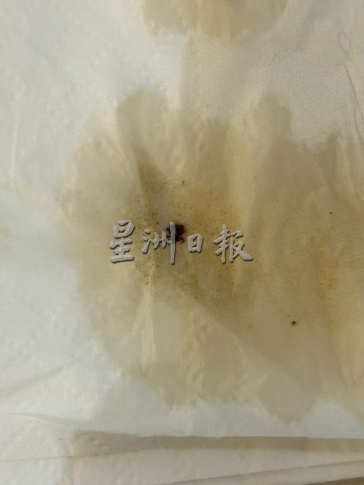 ns芙蓉/罗白PKL商业区流浪狗激增，带来卫生及滋扰群众，影响生意及顾客用餐体验