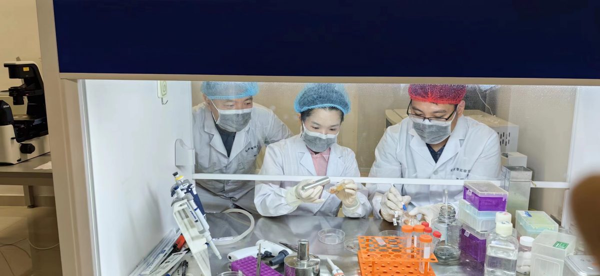 专访纪家葵∕第一篇∕星洲专用