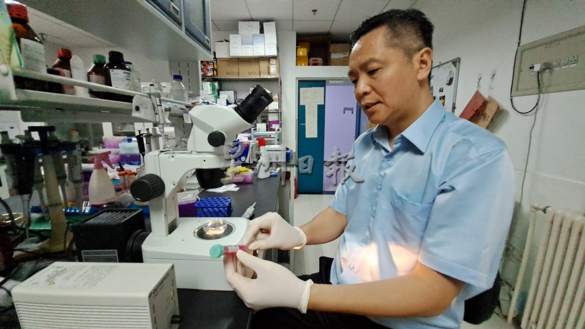 专访纪家葵∕第一篇∕星洲专用