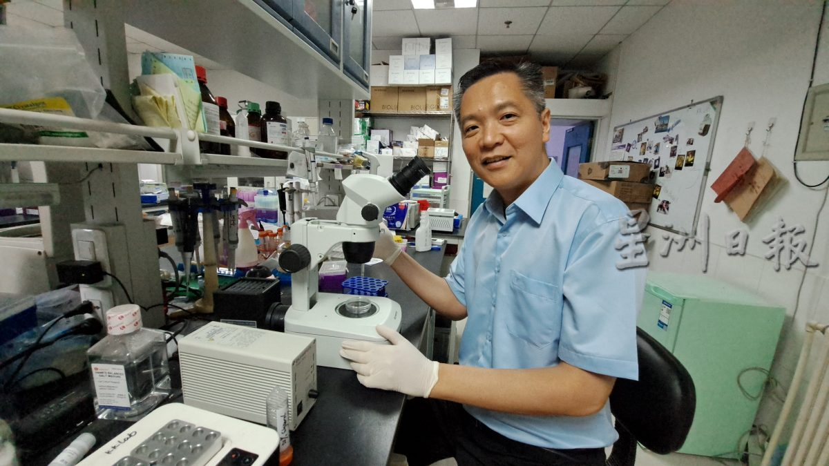 专访纪家葵∕第一篇∕星洲专用