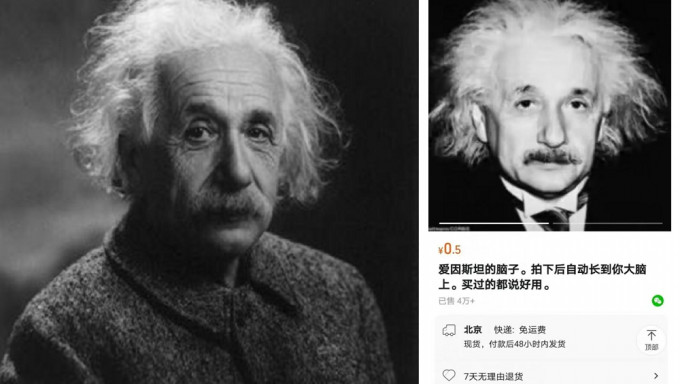 “爱因斯坦的脑”离奇热卖│网上销量近10万 店家讲明这么送货......