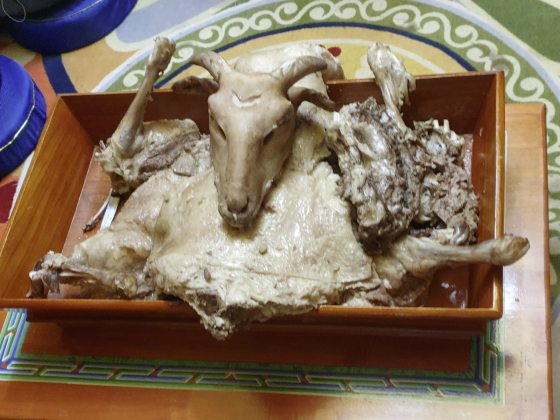 【中国】从沙漠到草原,看内蒙古的现代与传统