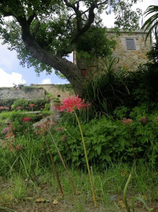 【台湾】马祖,不一样的台湾
