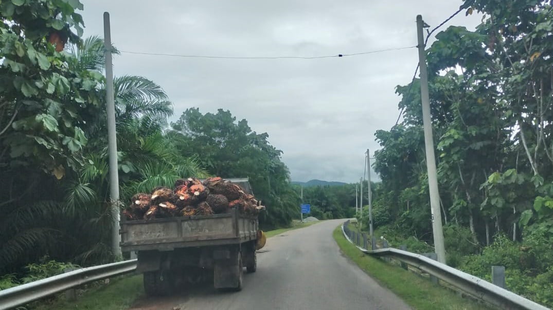 东6:柏朗埃区州选提名和总计票中心地点被更改