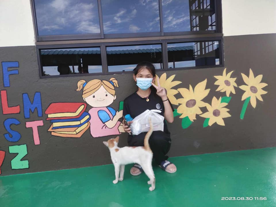 东：吉拉央华小学前班获赞助漆料画4幅壁画