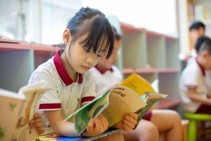 中国修订教科书纳“左宗棠收复新疆”或为遏制台独