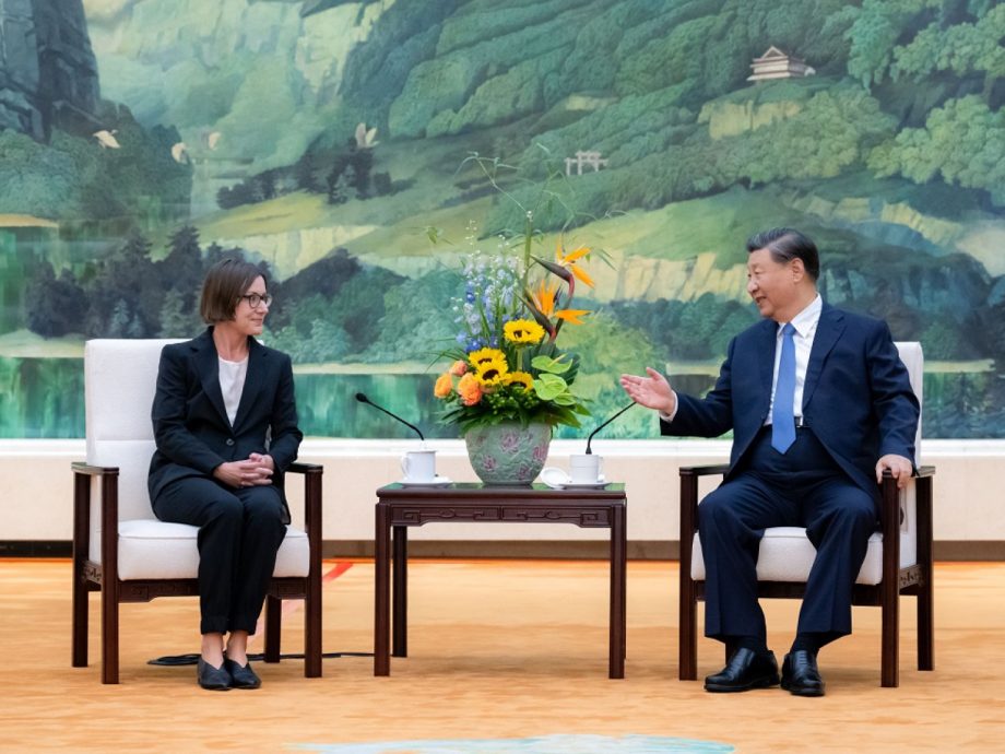 习近平晤斯波利亚里茨 赞扬红十字会为和平作出贡献