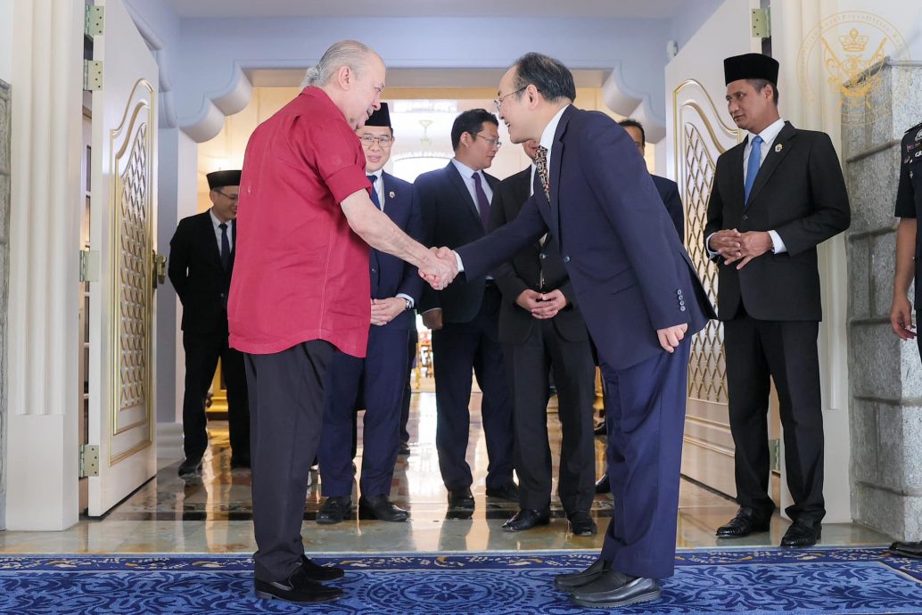 全国：新闻：柔苏丹接见中国驻马大使，双方会谈1小时