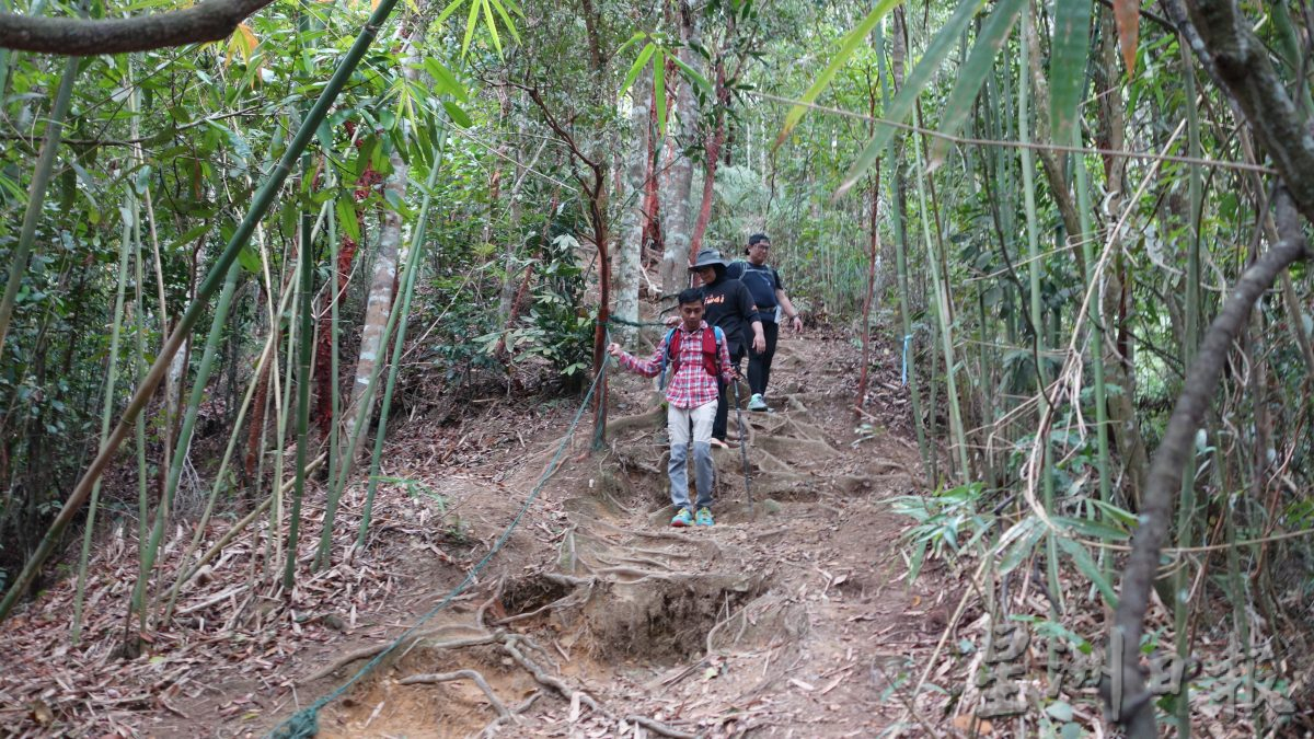 北线通勤电动火车延长路线后真方便 游客可坐火车来和丰爬光头山