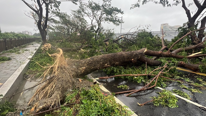 南投庐山塔罗湾溪暴涨 泥水冲刷停业饭店
