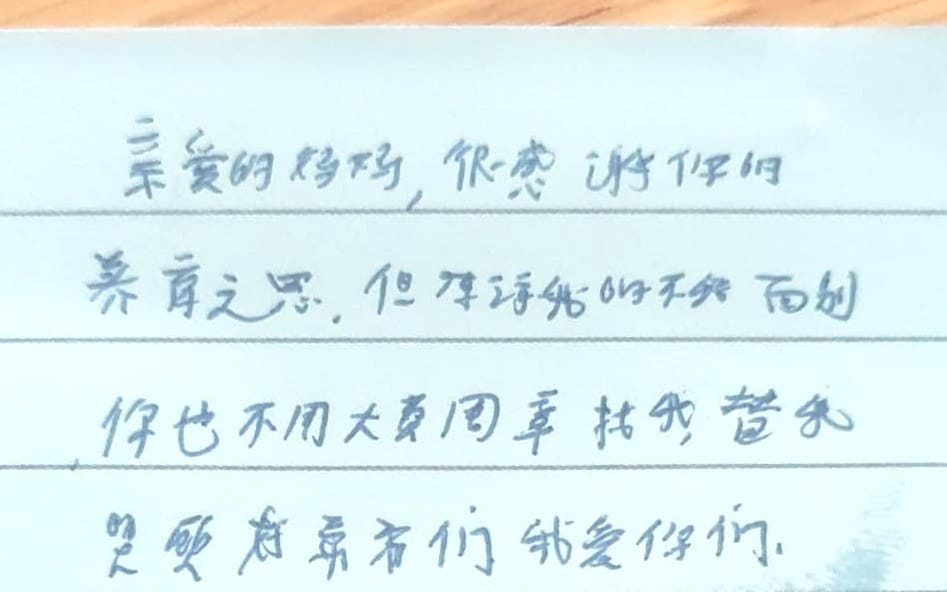大都会-甲洞失踪少女逾48小时后未寻获