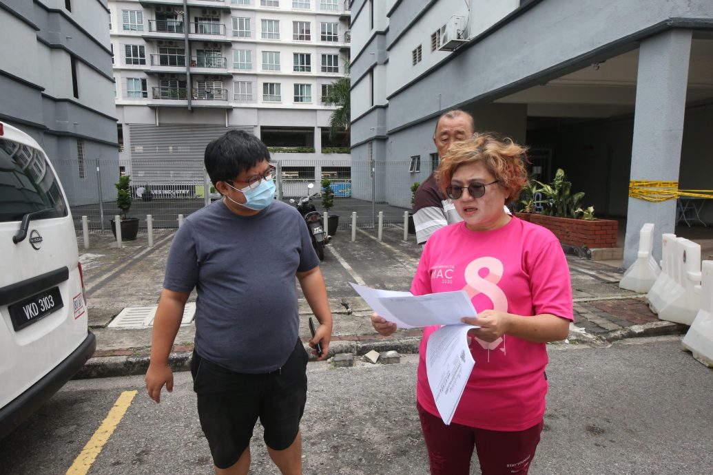 大都会/封底头/旧古仔斯里帝沙鸿图园/10图