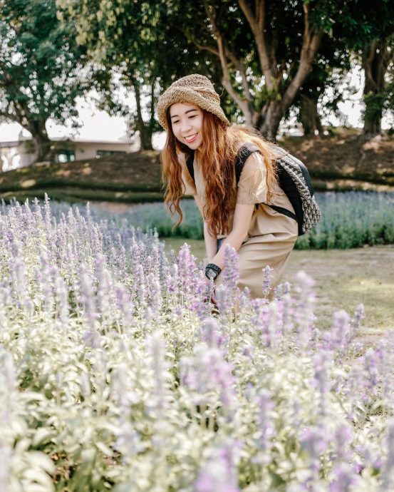 大马插画家绘出离世艺人“中秋团圆画面” 李玟小鬼高以翔天堂相聚惹网哭